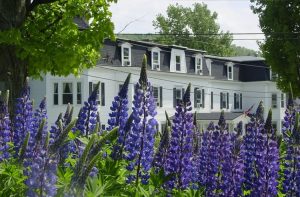 Gala Auction & Mediterranean Feast @ Inn at Sunset Hill